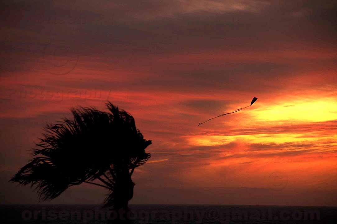 আবুবকর (রাঃ) -এর মৃত্যুকালীন অছিয়ত